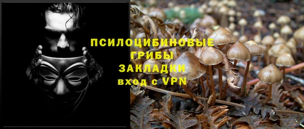 кокаин перу Каменка