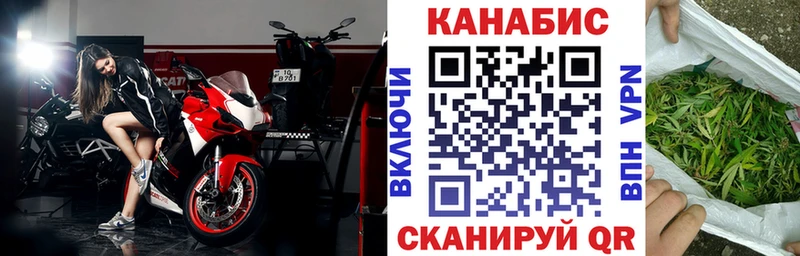 Бошки марихуана план  Купить  Норильск 
